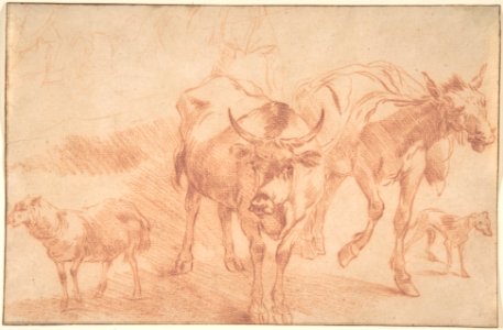 Animal Studies MET DP800102