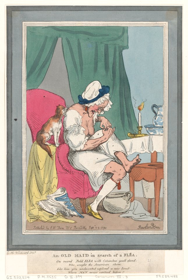 An Old Maid In Search of a Flea MET DP872133