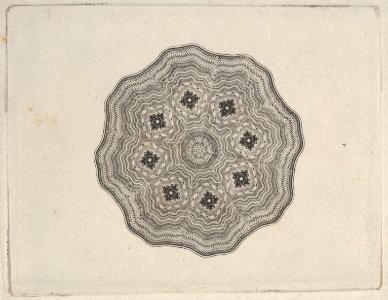 Banknote motif- rounded ornamental lathe work design witha wavy edge MET DP837942