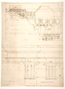 Basilica Ulpia, cornice, elevation profile with ornamental detailing; Domus Turciorum, entablature, elevation profile (recto) Domus Turciorum, elevation, perspective (verso) MET DP810817