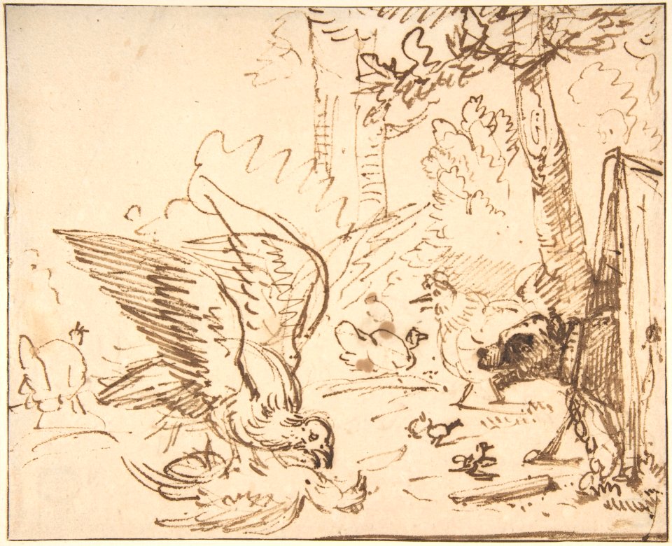 Barnyard Scene- two birds fighting (recto)Studies of Birds(verso) MET DP800163