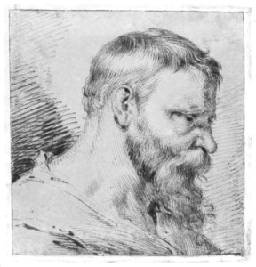 Bearded Head, Looking Down to the Right MET 270299