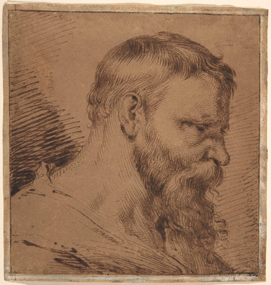 Bearded Head, Looking Down to the Right MET DP801212