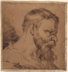 Bearded Head, Looking Down to the Right MET DP801212