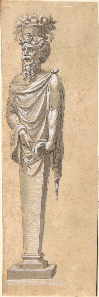 Bearded Male Term Looking Left MET DP808485