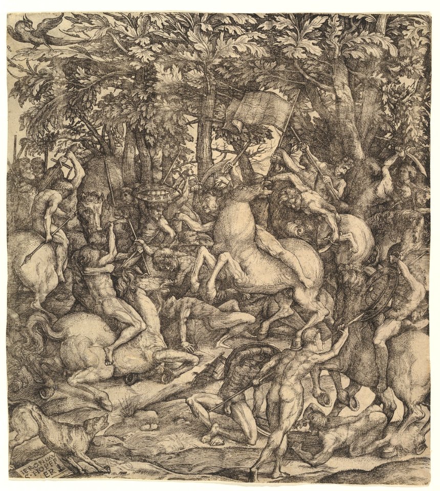 Battle between cavalry and infantry in a wood MET DP828596