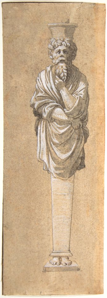 Bearded Male Term Covered in a Cloak MET DP807675