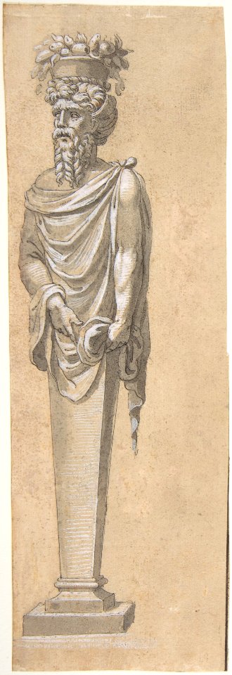 Bearded Male Term Looking Left MET DP807676