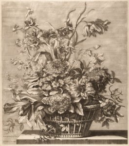 Basket of Flowers from the Book of Several Baskets of Flowers, Designed and Engraved by Baptiste Monnoyer (Livre de Plusieurs Corbeilles de Fleurs dessiné et gravé par Baptiste Monnoyer) MET DP210752
