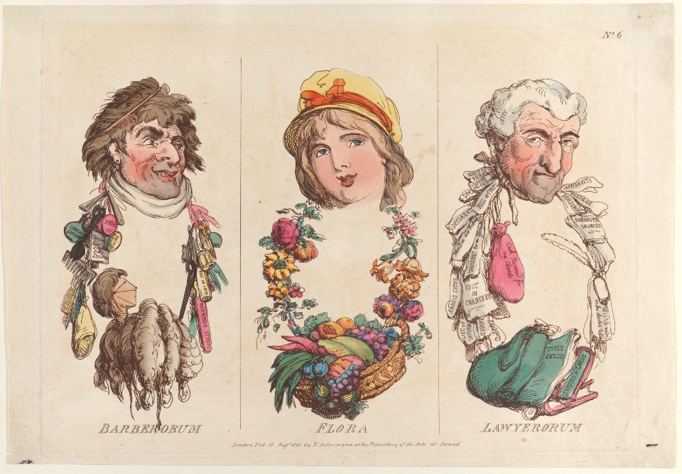 Barberorum, Flora, Lawyerorum Met DP884716