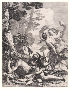 Bacchanal Met DP887731