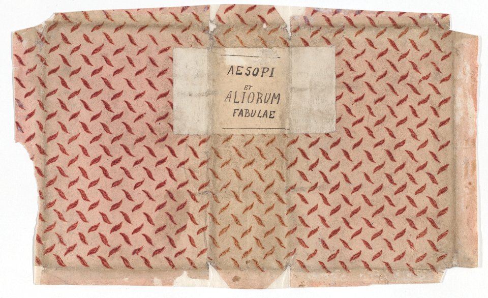 Book cover for Aesopi et Aliorum Fabulae with overall dash design Met DP886649