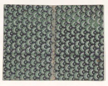 Book cover with overall green and black abstract pattern Met DP886689