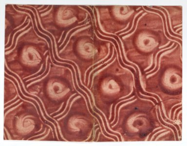 Book cover with overall pattern of red curved lines Met DP887110
