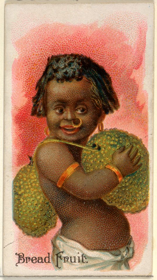 Bread Fruit, from the Fruits series (N12) for Allen & Ginter Cigarettes Brands MET DP834608