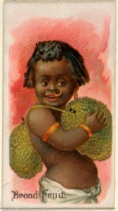 Bread Fruit, from the Fruits series (N12) for Allen & Ginter Cigarettes Brands MET DP834608