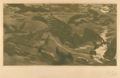 Birds of prey (Ouiseux de proie) MET DP834482