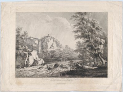 Birch Tree Uprooted by a Storm MET DP874595