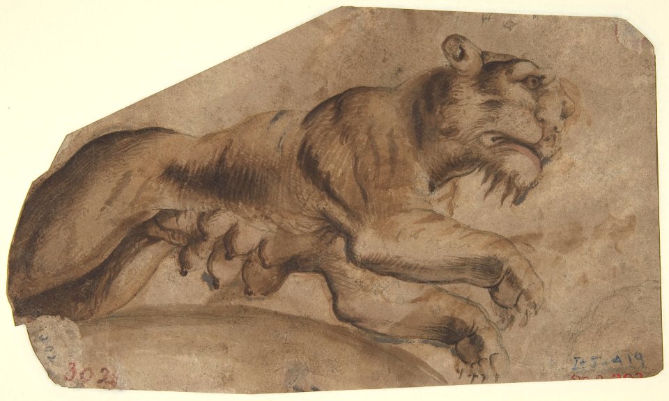 Bird Eating Grapes (recto); Tigress (verso) MET DP809963