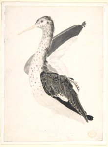 Bird, Perhaps an Egret, Seen in Profile with One Wing Lifted MET DP809438