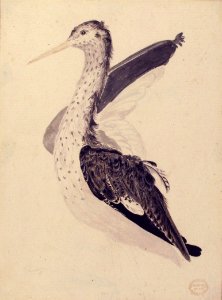 Bird, Perhaps an Egret, Seen in Profile with One Wing Lifted MET 80.3.208