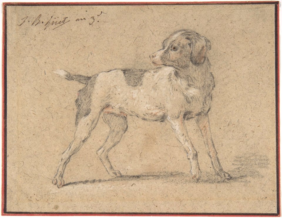 Black and White Dog, Head Turned to the Left MET DP806742