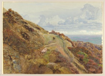 Bonchurch Downs MET DP854869