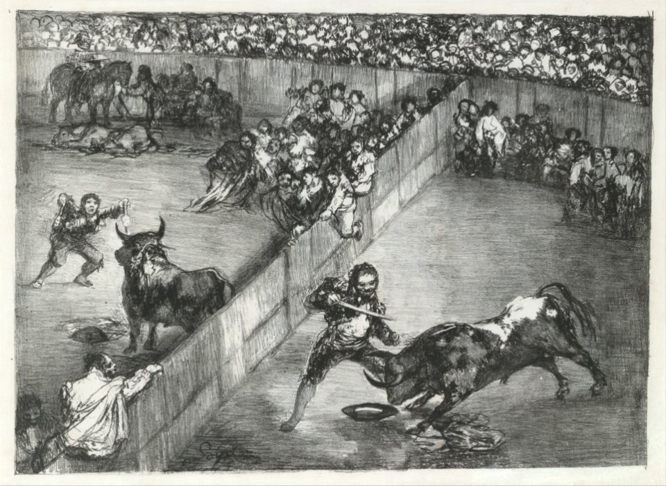 Bullfight in a divided ring, from the 'Bulls of Bordeaux' MET DP124107
