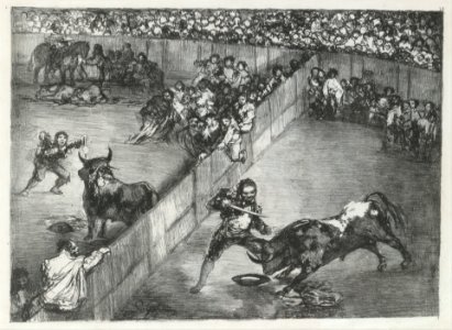 Bullfight in a divided ring, from the 'Bulls of Bordeaux' MET DP124107