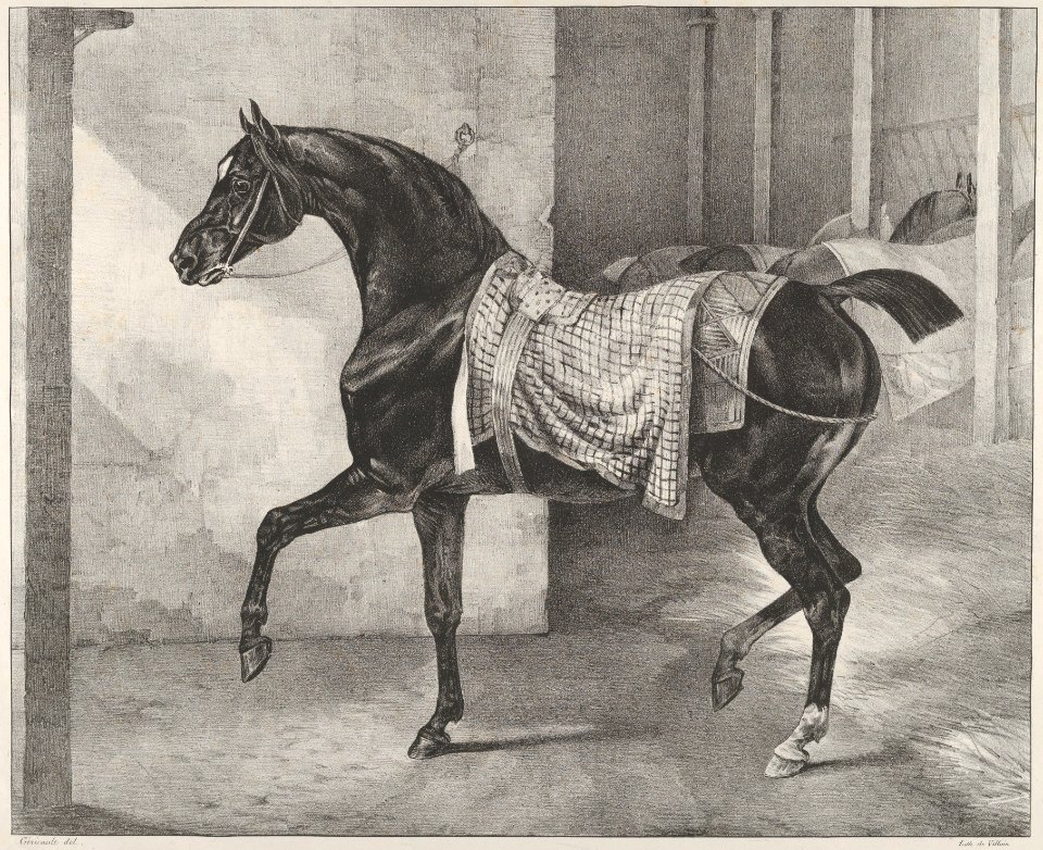 Black Horse Tethered in a Stable MET DP837365