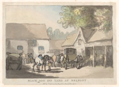 Black Dog Inn Yard At Bellfont MET DP872139