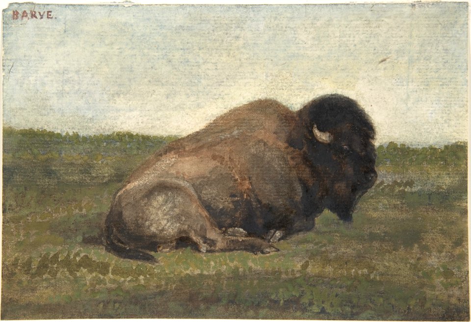 Bison Lying Down MET DP805149
