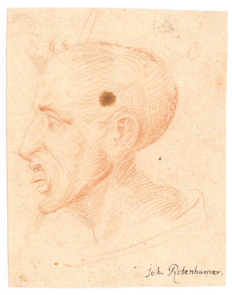 Bust of a Man Looking Left MET DP145164