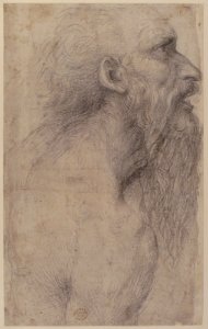 Bust of a Man with Long Beard (recto) MET 08.227.31 RECTO