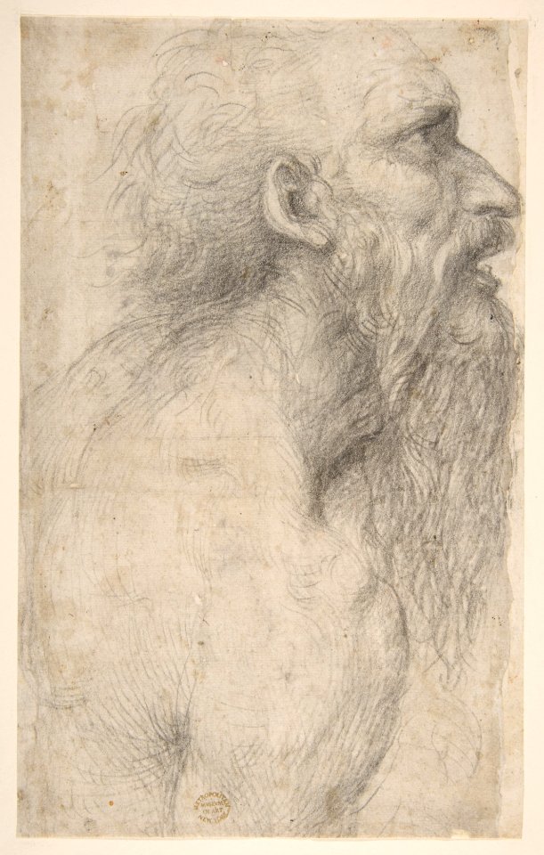 Bust of a Man with Long Beard (recto) MET DP811755