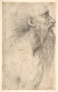 Bust of a Man with Long Beard (recto) MET DP811755