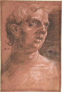 Bust of a Man MET DP802871