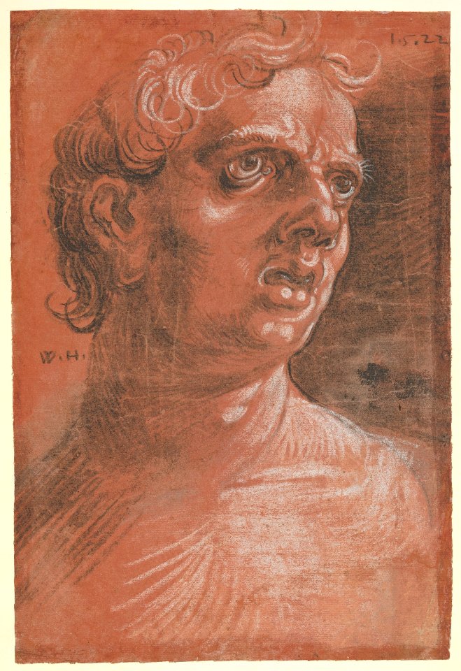 Bust of a Man MET DP832660