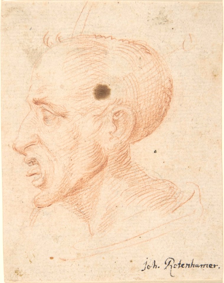 Bust of a Man Looking Left MET DP803376