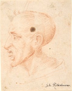 Bust of a Man Looking Left MET DP803376
