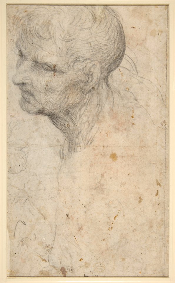 Bust of a Man with Long Beard (recto) MET DP811756