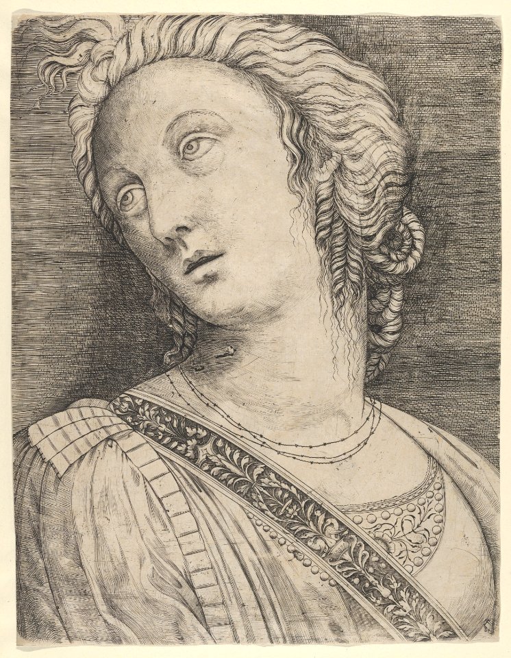 Bust of a woman with her head turned to the left MET DP835585
