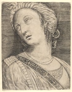 Bust of a woman with her head turned to the left MET DP835585