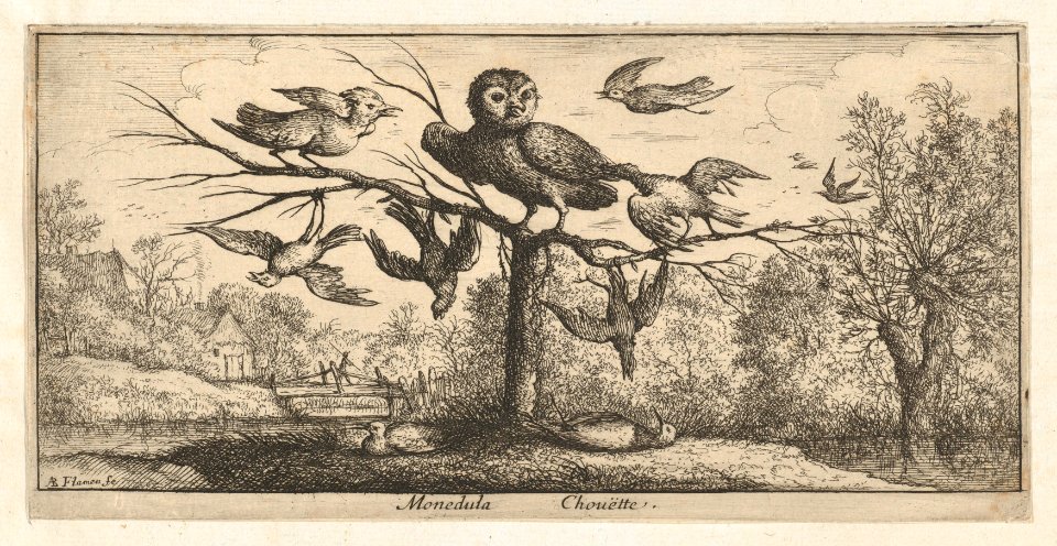 Book of Birds MET DP857003
