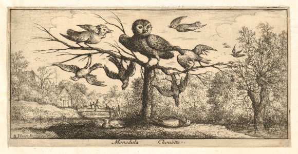 Book of Birds MET DP857003