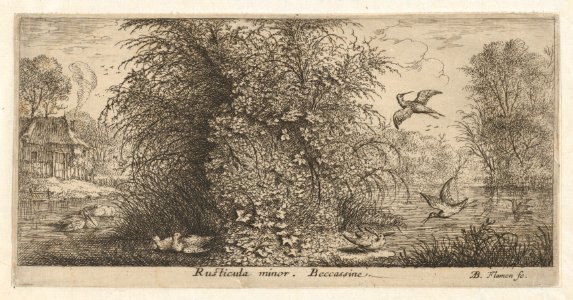 Book of Birds MET DP857006