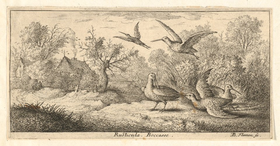 Book of Birds MET DP857005