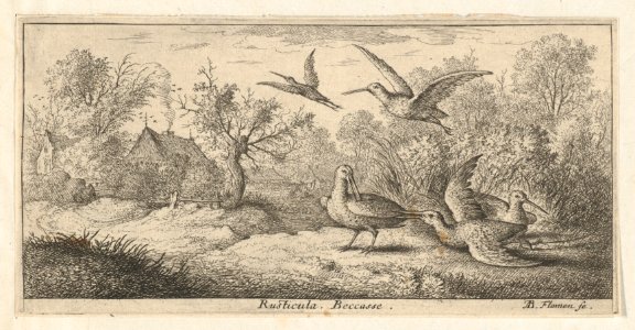Book of Birds MET DP857005