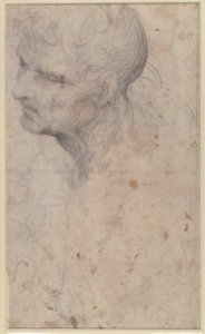 Bust of a Man with Long Beard (recto) MET 08.227.31 VERSO