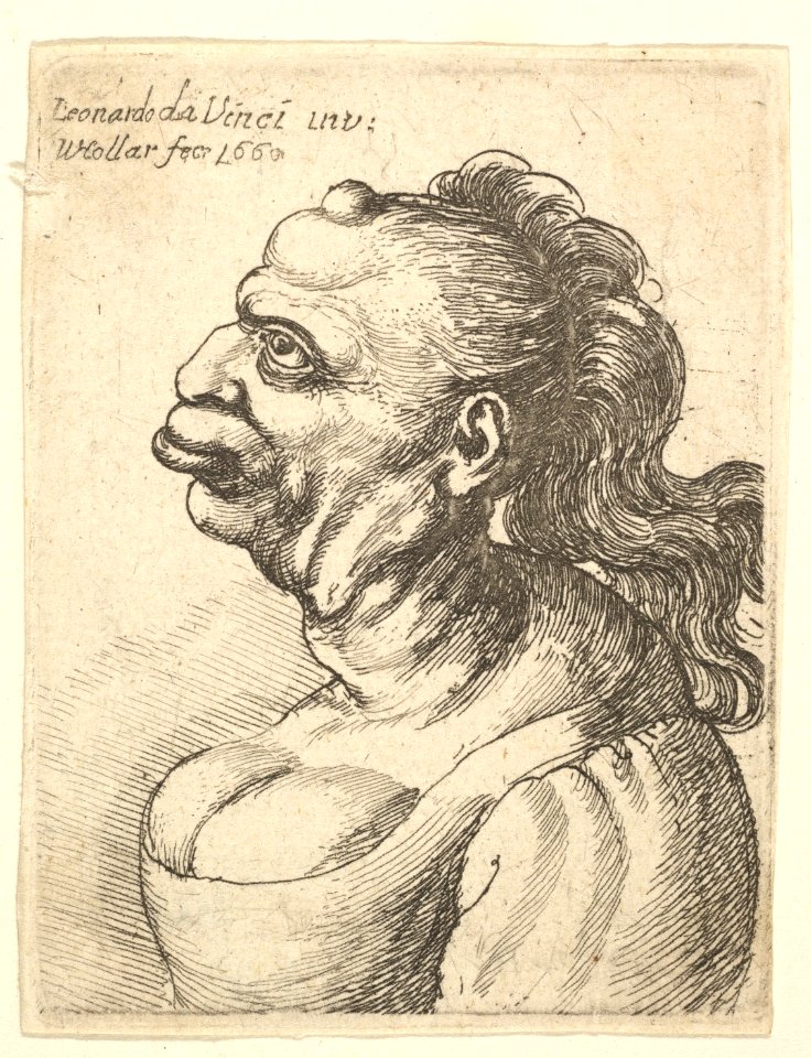Bust of a woman wearing low-cut dress, with protruding lipd, growth on her forehead, prominent breast, long flowing hair down her back, in profile to left. MET DP823686
